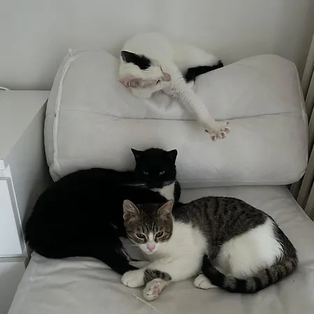 Casa Carriero Apartament *