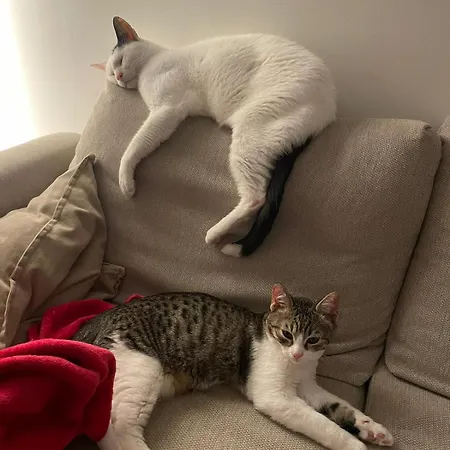 Lejlighed Casa Carriero