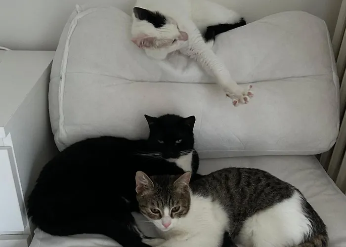 Casa Carriero Appartement *