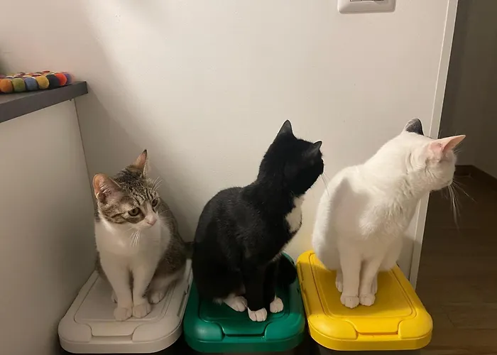 Casa Carriero * Bari