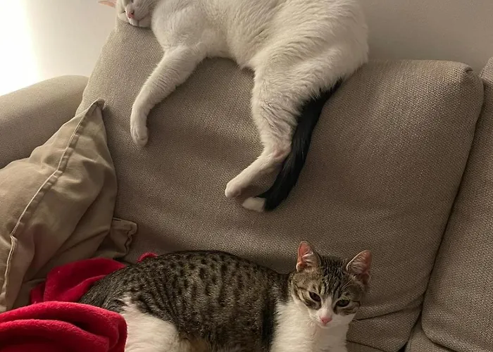 Appartement Casa Carriero