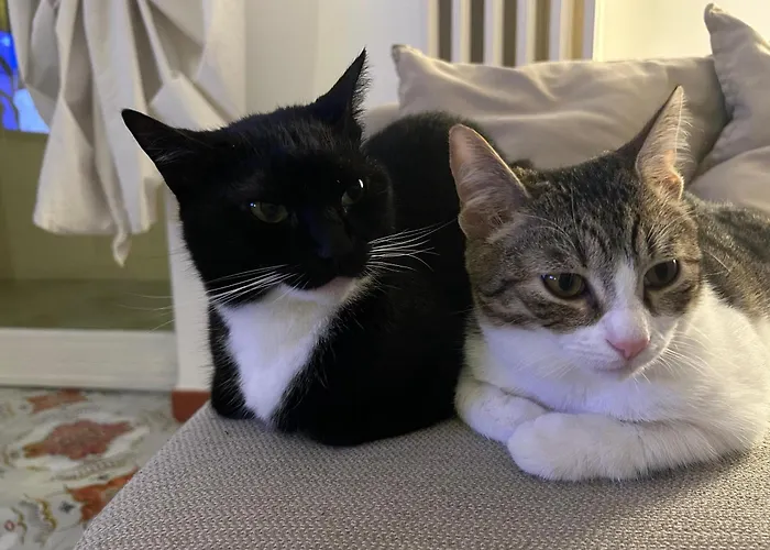 Casa Carriero Appartement *